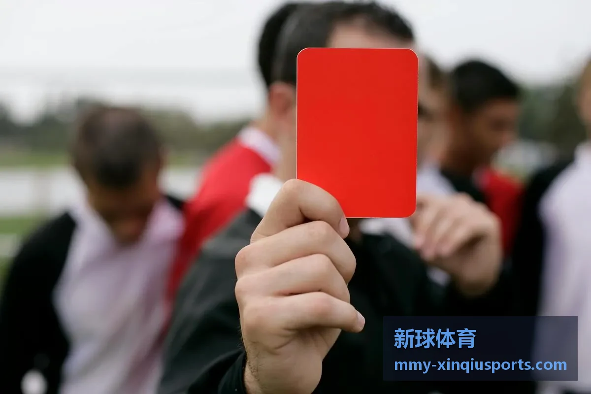 新球体育数据洞察封面