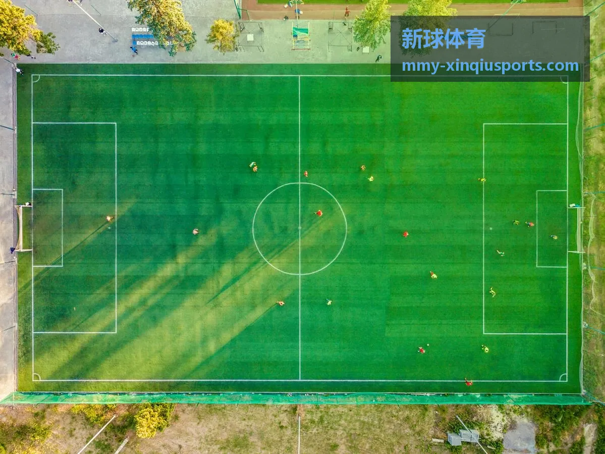 新球体育战队风云封面