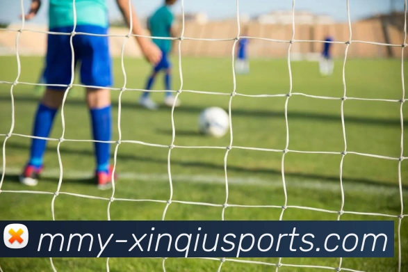 新球体育即时比分服务体系